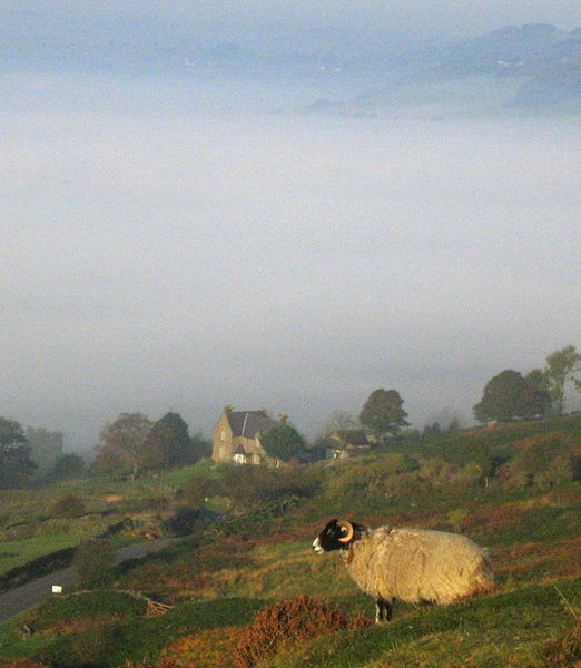 Soubor:Fog in the Derwent valley - geograph.org.uk - 592760.jpg