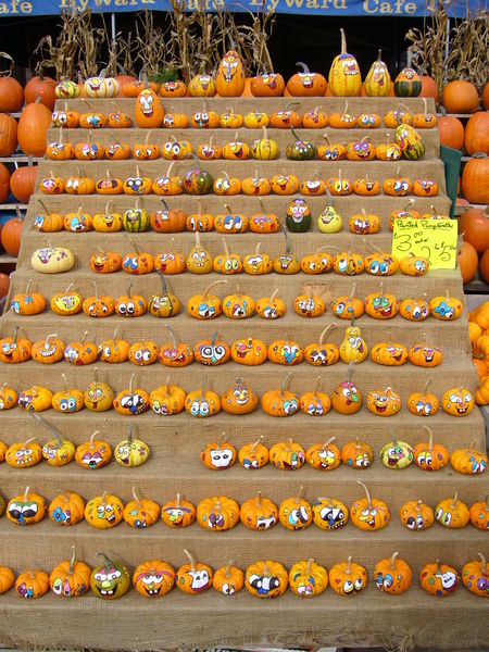 Soubor:Painted pumpkins.jpg