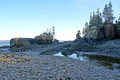 Bay of Fundy Shore-DSC03402-DJFlickr.jpg