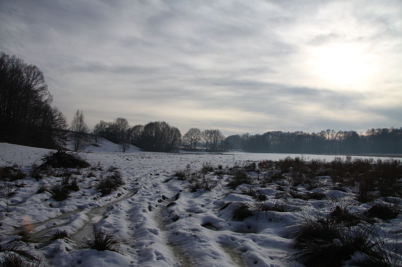 Soubor:Natural monument Bavorska stran in winter (19).JPG