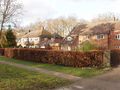Chalfont Lane, Chorleywood - geograph.org.uk - 123833.jpg