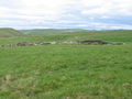 Y shaped shelter wall - geograph.org.uk - 191864.jpg