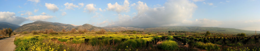 Panorama Golanských výšin