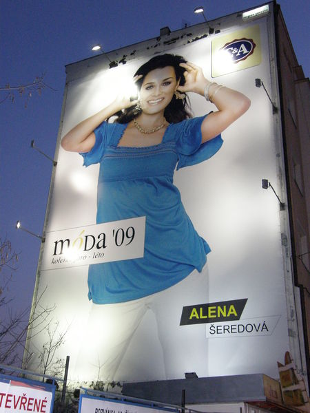 Soubor:Alena-Seredova-Pilsen-2009-02.jpg