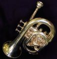 Pocket trumpet2.jpg